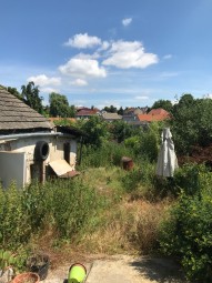 IMG_0739