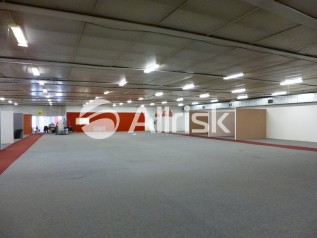 P1060081