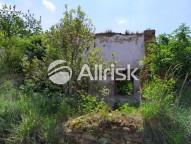 60021565_1374216946067462_7418599171025797120_n