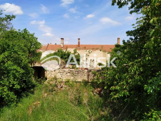 59708638_667776417014864_3783677960834252800_n