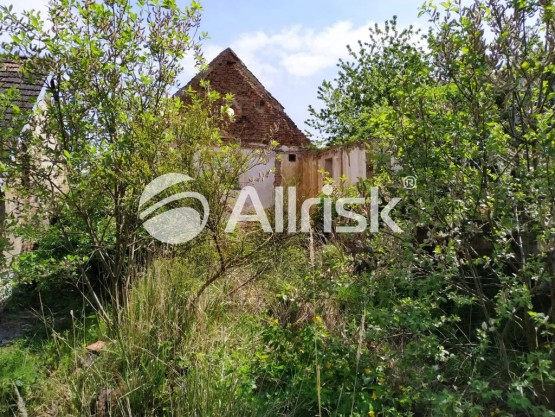 59693924_1901695459936360_5462508121958121472_n