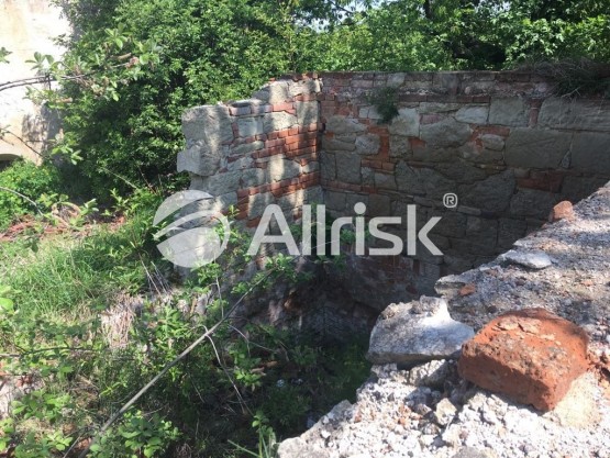 59852738_611490089351884_8129473828255432704_n