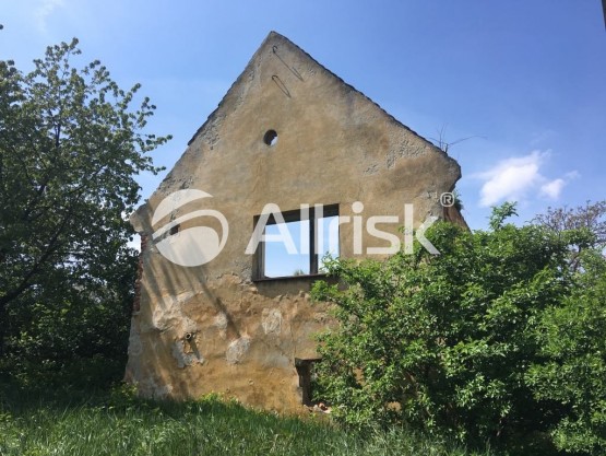 59763233_410579119492857_5452140053725708288_n