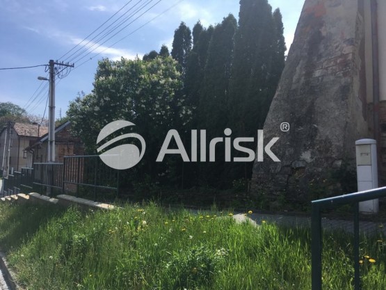 59929297_1711097178993335_139059929964085248_n