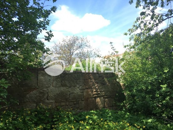 60140599_1177550972405697_5725766377134882816_n