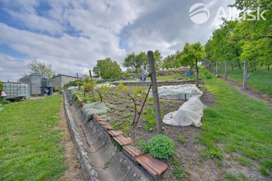 hdr zahrada a