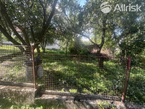 456223101_8174493735965533_6967505361632088142_n