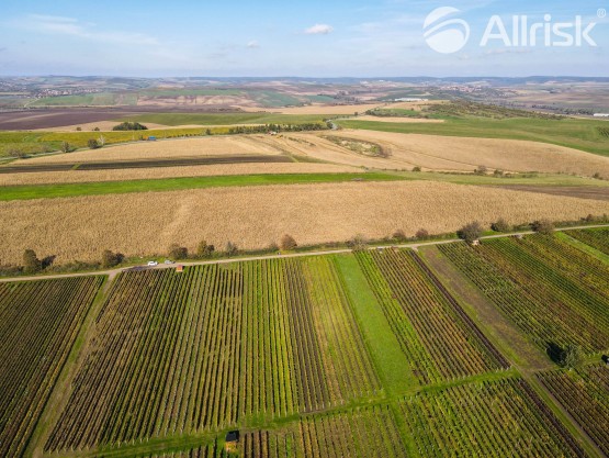 DJI_0085