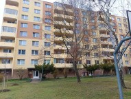 482813599_985850606848775_4629520820489092236_n