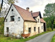 IMG_8588