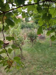 IMG-20241018-WA0088