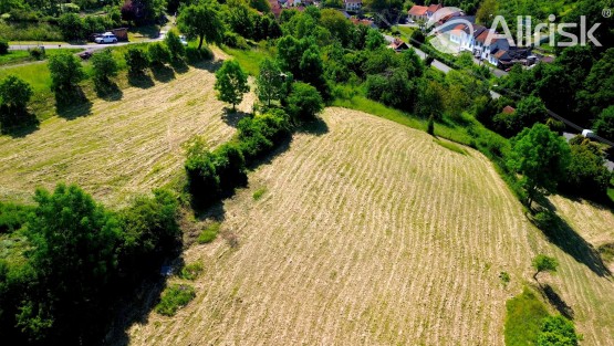 DJI_0309