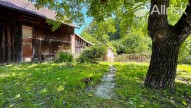 IMG_7101