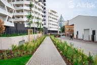 photo_4