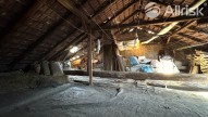 IMG_7868