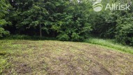 DJI_0368