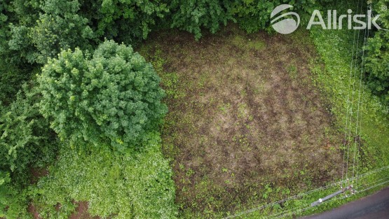 DJI_0362