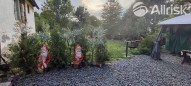 IMG_20250902_170048804_HDR_AE