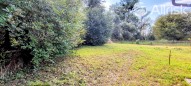 IMG_20250905_145204379_HDR_AE~2