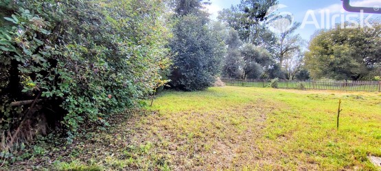 IMG_20250905_145204379_HDR_AE~2