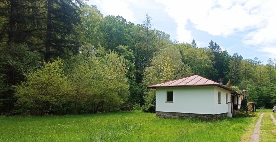 Zeliv1