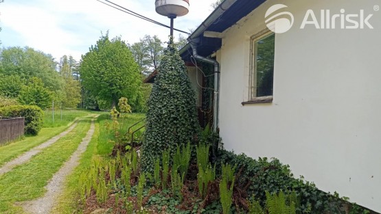 66f18ba3-d2c9-4f68-818b-74f8ecc74fda