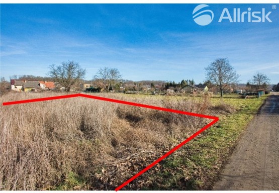 Trávník pozemek 1000 m2 (2)