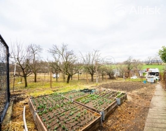 60d89852-3d76-4b0b-808c-a6608a94491c