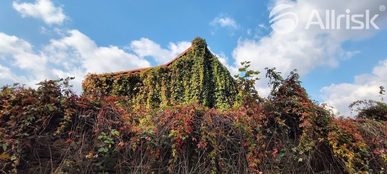 IMG_20251002_143315357_HDR_AE (1)