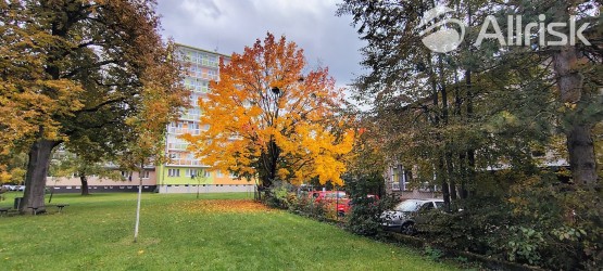 IMG_20251016_150006727_HDR_AE