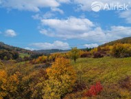 DJI_20251017114926_0583_D