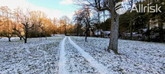 c7f9cf33-0bf4-41e3-9e83-5d062f4ffa10