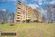 Detail: Pronájem bytu 1+1, 31 m2