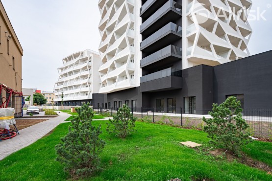 photo_6