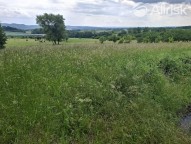 Fb3a3e80c61c533de3bd604e32247e7d29464