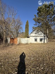 IMG_2875