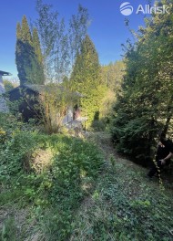 IMG_6518
