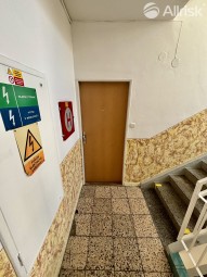 IMG_3873