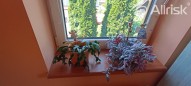IMG_20230615_141904