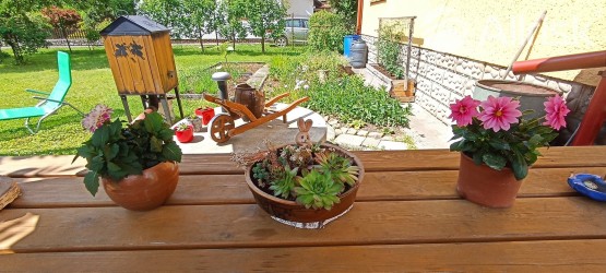 IMG_20230615_142747