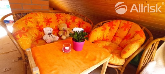 IMG_20230615_141630