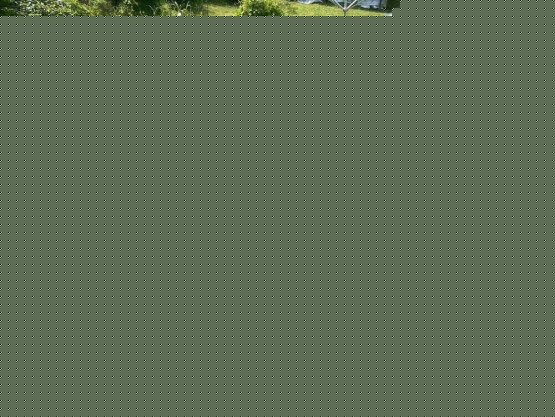 large_f3e2694c_2815_4481_82a0_f9e0fdaad956_4a0b36e843
