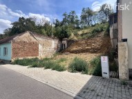 IMG_0892