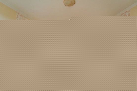 DSC02221-HDR