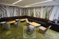 thumb_IMG_0233_1024