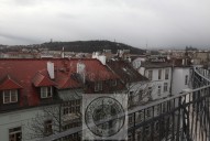 IMG_0816