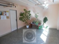 DSCN6587