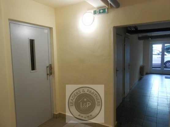 DSCN6592