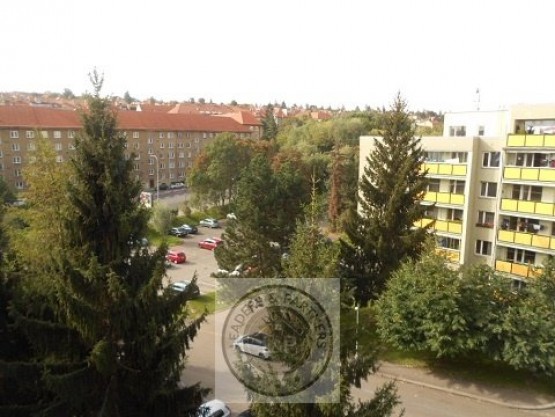 DSCN6621
