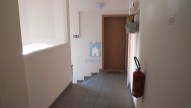 dscf0205.jpg
